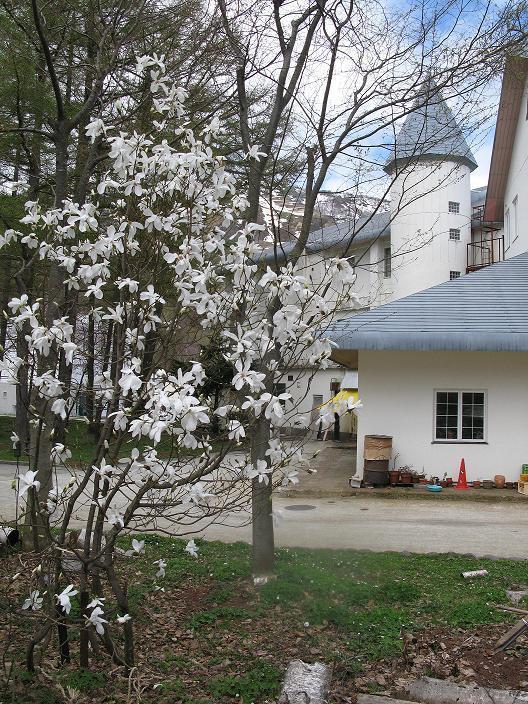 汤泽町 Grindelwald酒店 外观 照片